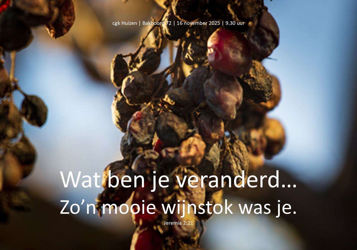 583287657_25374297028873622_4161300867296920725_n